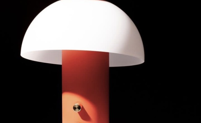 Luminaire sonore Piccolo – 549 €