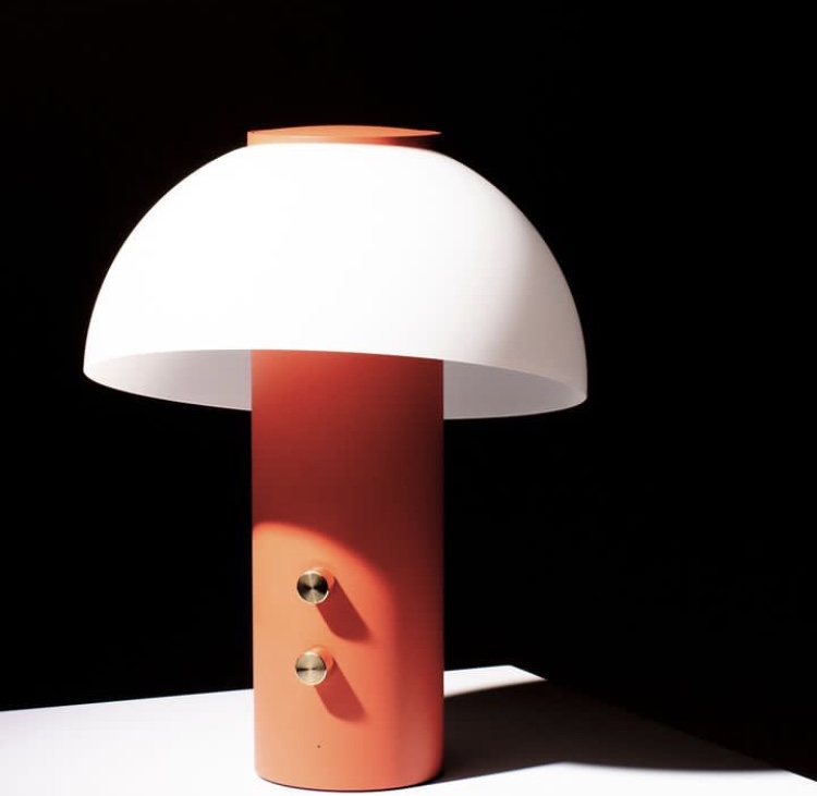 Luminaire sonore Piccolo – 549 €