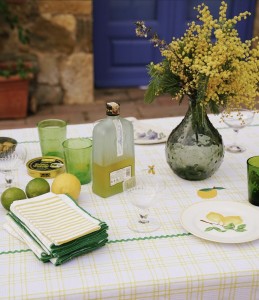 nappe table dété maison dinette napep carreaux jaune bordé vague verte arcimboldo brodé fruits