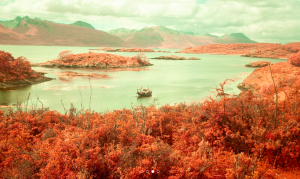 Capture d’écran 2026-01-22 à 15.47.49