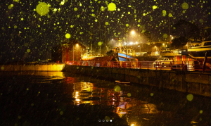 Axelle de Russé photographe Le port sous la neige. Avril 2025 patagonie puerto williams