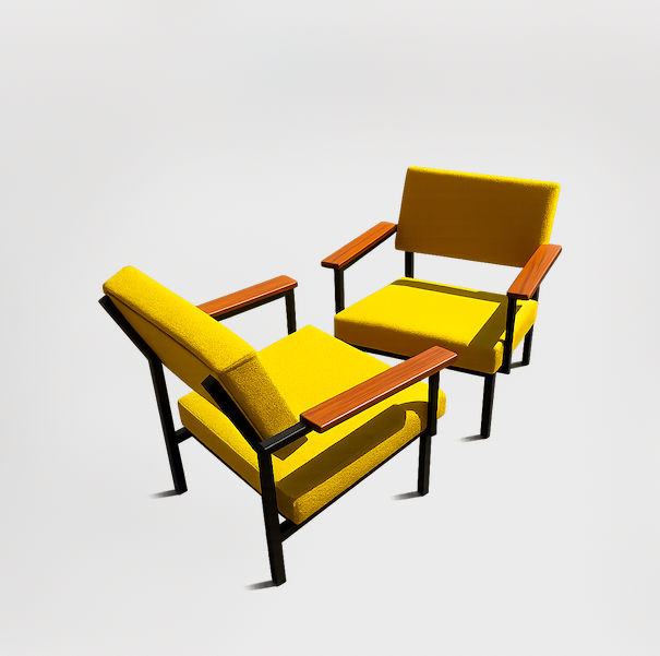 Paire de fauteuils Gijs van der sluis –